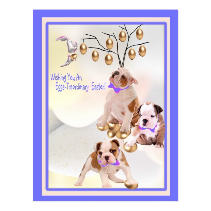 Bulldog Puppy Eggs  Traordinary Easter Wishes Postcard