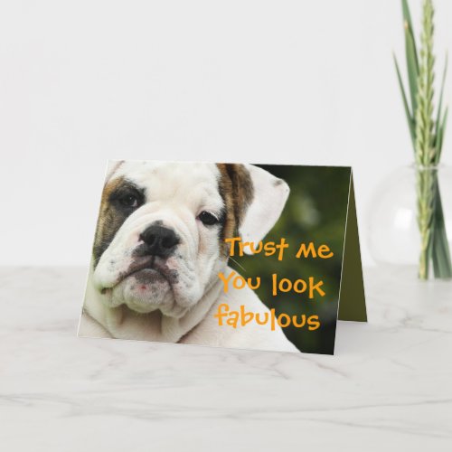 Bulldog puppy funny aging birthday card