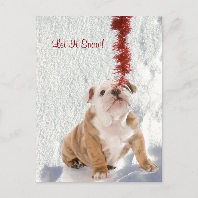 Bulldog Puppy Let It Snow #2 Holiday Greeting (Front)