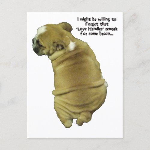 Bulldog Puppy Love Handles and Bacon Postcard