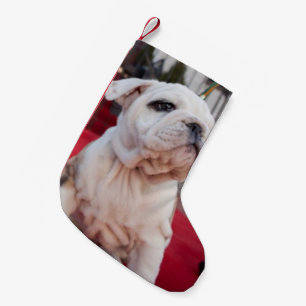 Bulldog Puppy Small Christmas Stocking