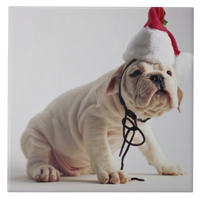 Bulldog Puppy Wearing Santa Hat Ceramic Tile (Front)