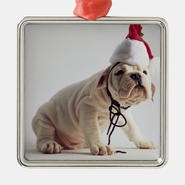 Bulldog Puppy Wearing Santa Hat Metal Ornament (Front)