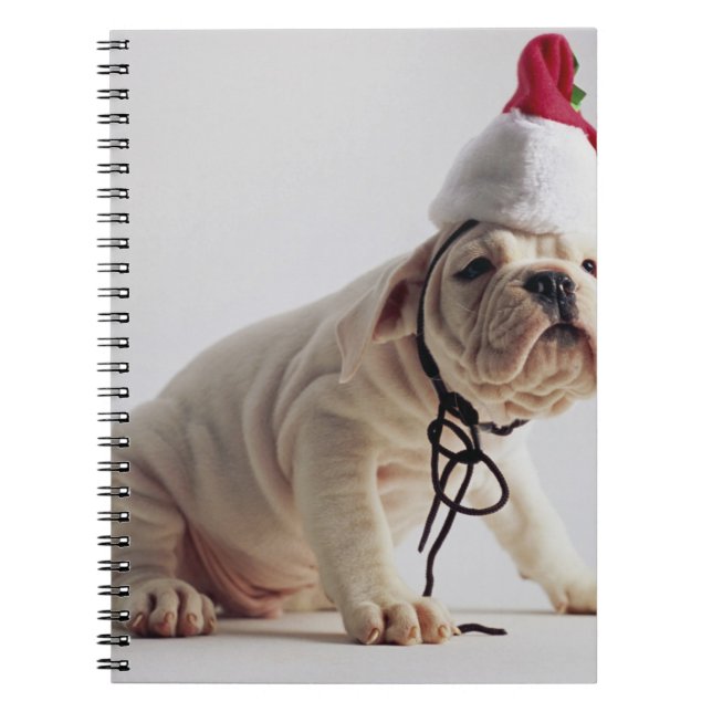 Bulldog Puppy Wearing Santa Hat Notebook (Front)