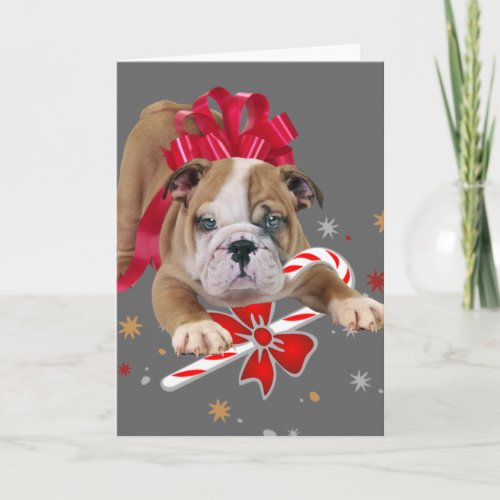 Bulldog puppy with red bow Christmas Card