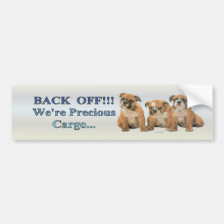 bulldog_pups2_bumpersticker bumper sticker