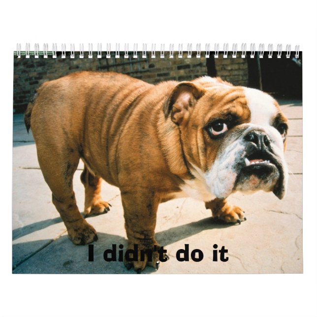BullDog Pups Calendar (Cover)