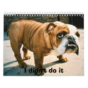 BullDog Pups Calendar
