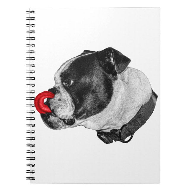 Bulldog Red Accent Notes Notebook (Front)