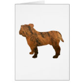 bulldog red brindle silo (Front)