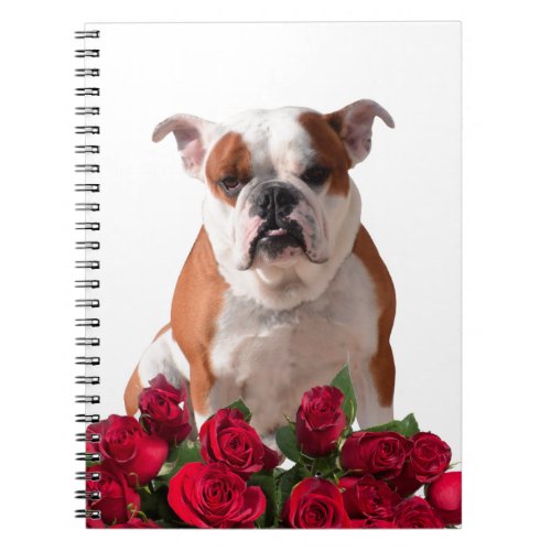 Bulldog Red Roses Bloom Birthday Anniversary Notebook