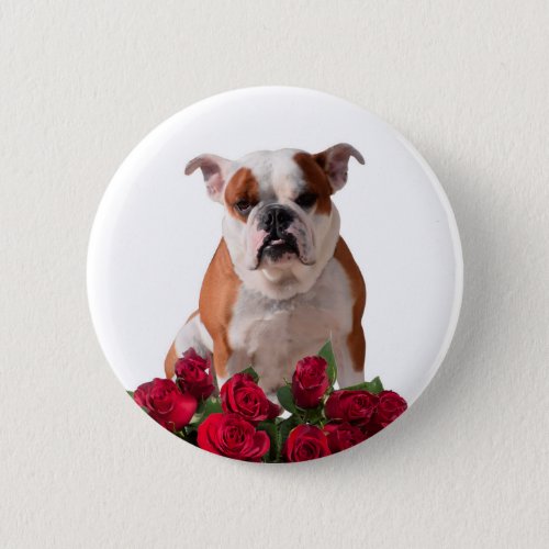 Bulldog Red Roses Bloom Birthday Anniversary Pinback Button