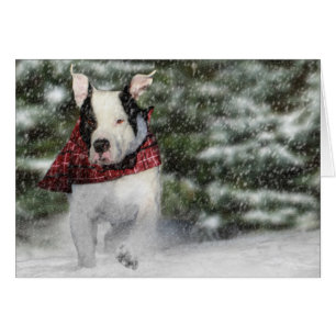 Bulldog Rescue Pup Dashing through the Snow Cards