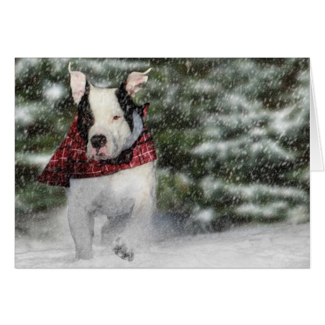 Bulldog Rescue Pup Dashing through the Snow Cards (Front Horizontal)