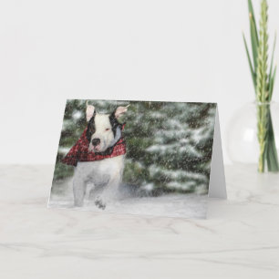 Bulldog Rescue Pup Dashing through the Snow Holiday Card