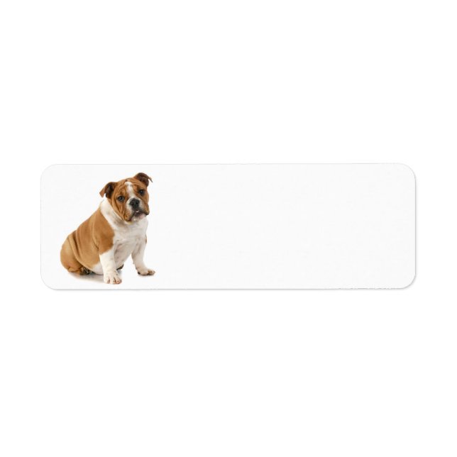 Bulldog Return Address Label (Front)