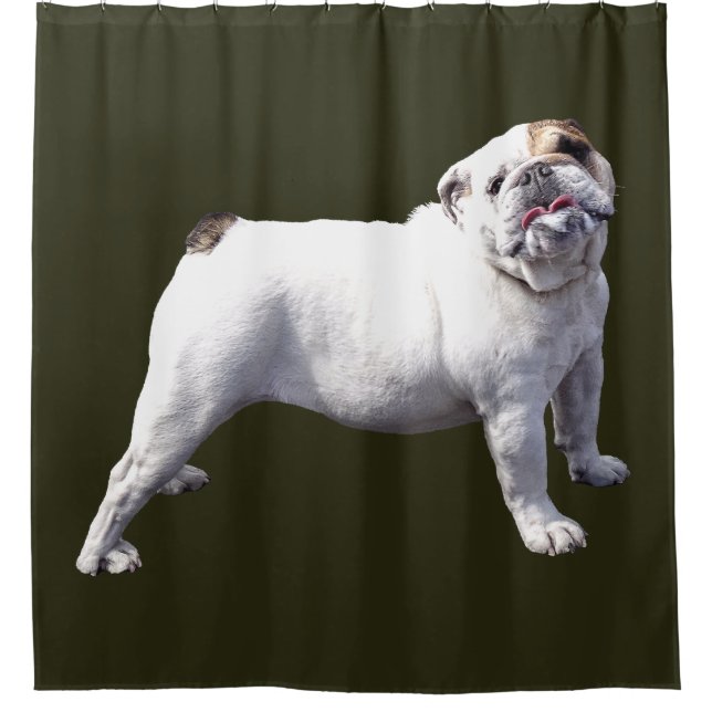 Bulldog Standing Tall Shower Curtain (Front)