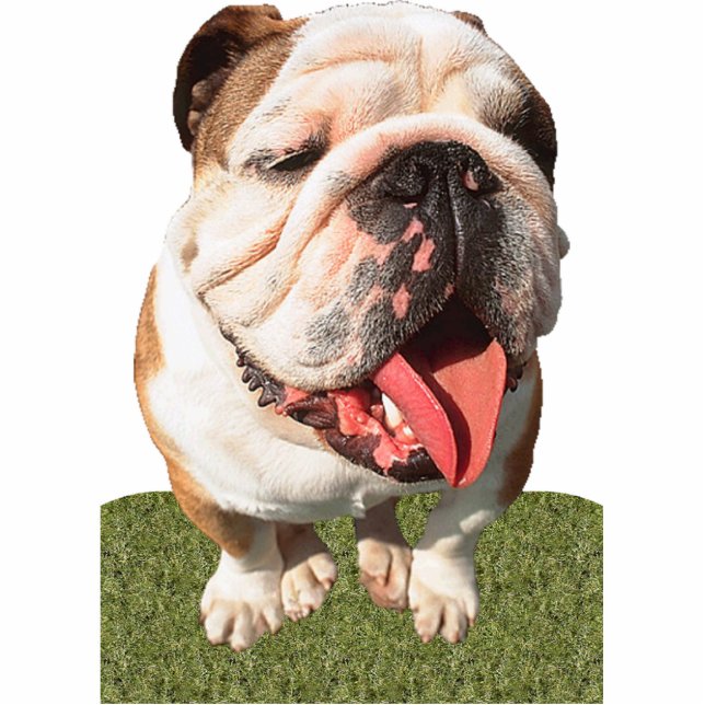 Bulldog Statuette (Front)