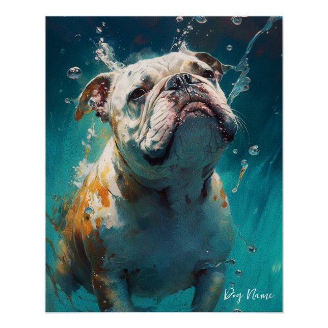 Bulldog swimming in water 001 poster (Front)
