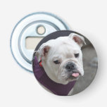 Bulldog Taunt Bottle Opener