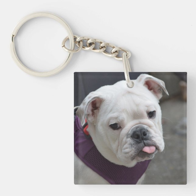 Bulldog Taunt Keychain (Front)