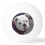 Bulldog Taunt Ping Pong Ball