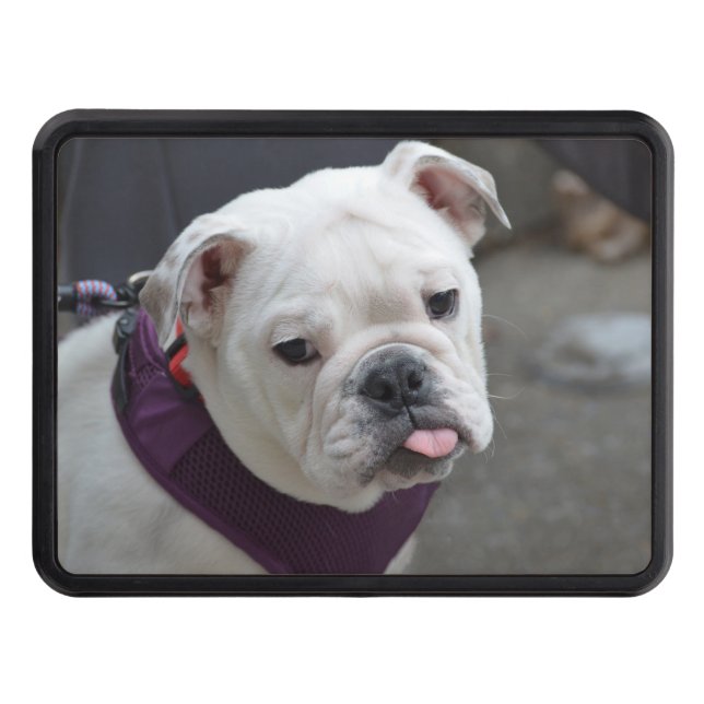 Bulldog Taunt Tow Hitch Cover (Front)