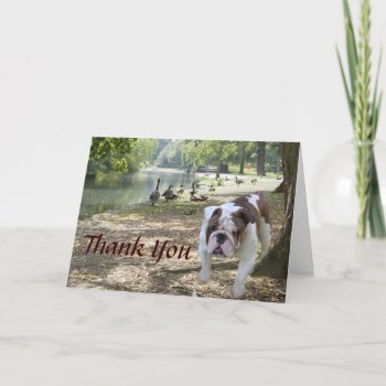 Bulldog Thank You Card by normagolden at Zazzle