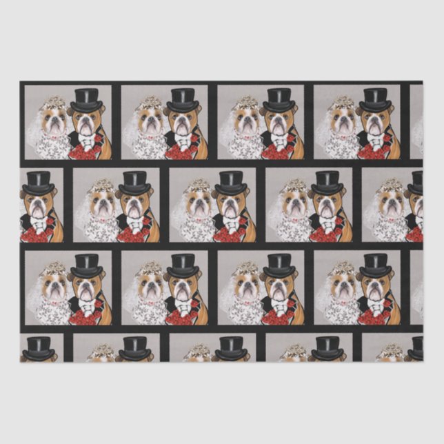 Bulldog     tissue paper (Front)