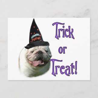 Bulldog Trick Postcard