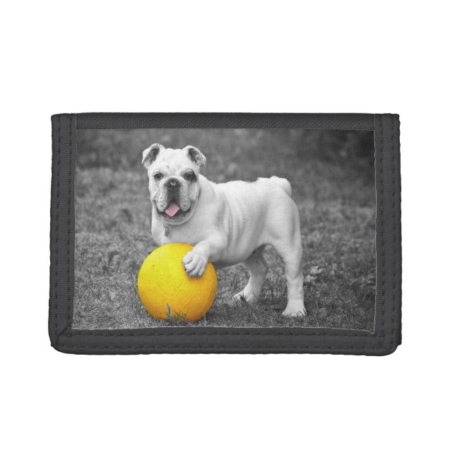 Bulldog Wallet (Front)