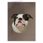 Bulldog Water Color Art Painting (Front)