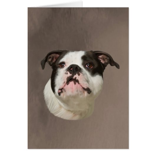 Bulldog Water Color Art Painting (Front)