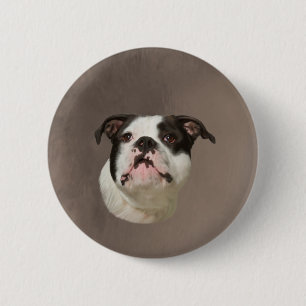 Bulldog Water Color Art Painting Button