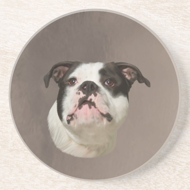 Bulldog Water Color Art Painting Coaster (Front)