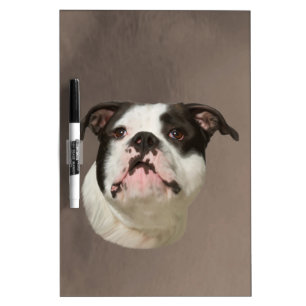 Bulldog Water Color Art Painting Dry-Erase Board
