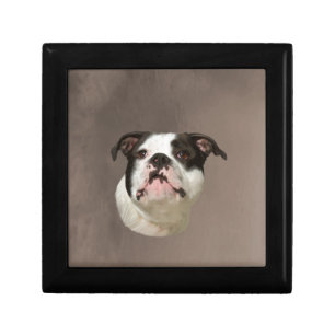 Bulldog Water Color Art Painting Jewelry Box