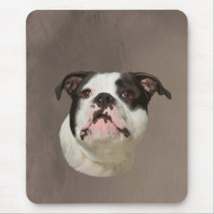 Bulldog Water Color Art Painting Mouse Pad