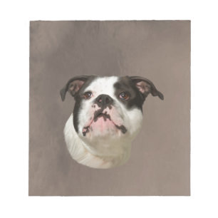 Bulldog Water Color Art Painting Notepad