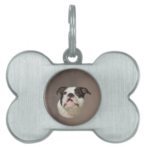 Bulldog Water Color Art Painting Pet ID Tag