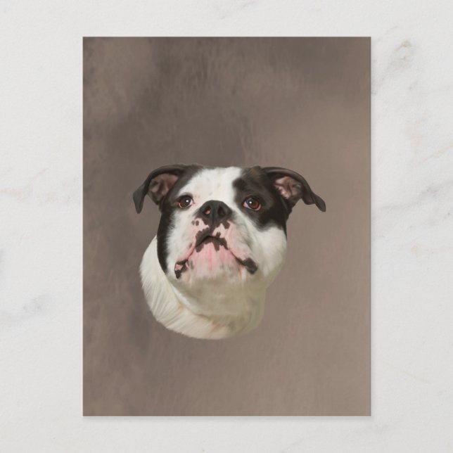 Bulldog Water Color Art Painting Postcard (Front)