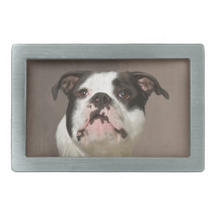 Bulldog Water Color Art Painting Rectangular Belt Buckle