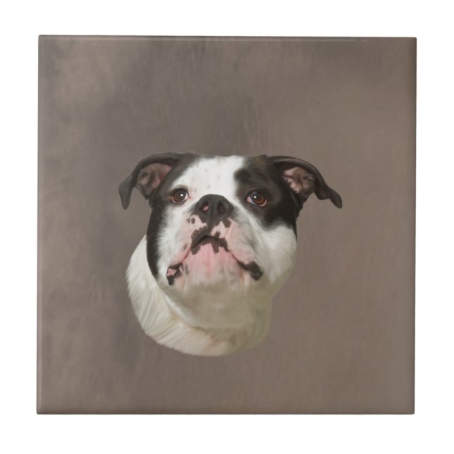 Bulldog Water Color Art Painting Tile (Front)