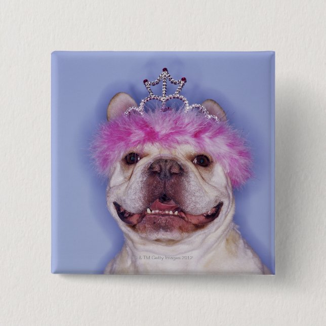Bulldog wearing tiara button (Front)
