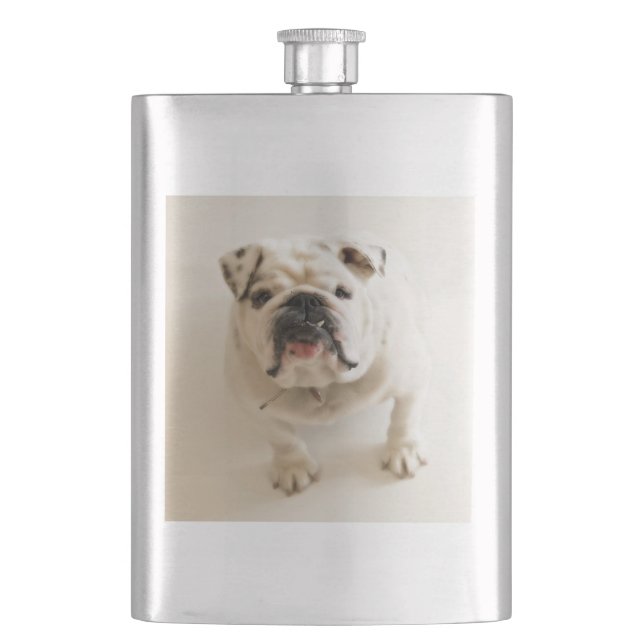bulldog white flask (Front)