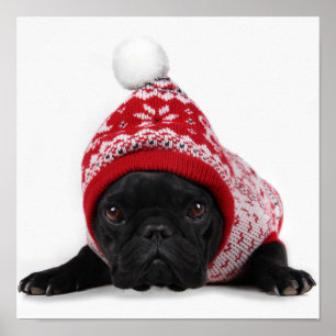 Bulldog With Hooded Sweater Poster