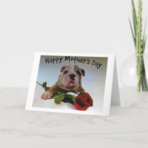 BULLDOG WITH ROSE IS FULL OF LOVE ON MOTHER'S DAY CARD