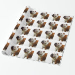 Bulldog Wrapping Paper