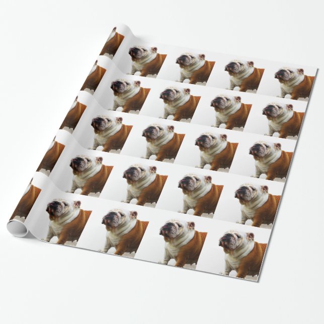 Bulldog Wrapping Paper (Unrolled)