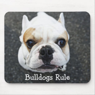 Bulldogs Rule Mousepad